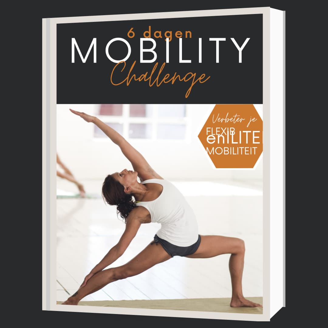 Mobility_challenge_-_mockup_cover